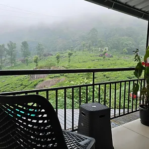 Tea Dale - All With Tea Estate View Munnar