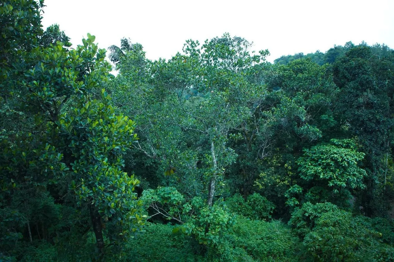 Lamond Holidays Munnar 0*,